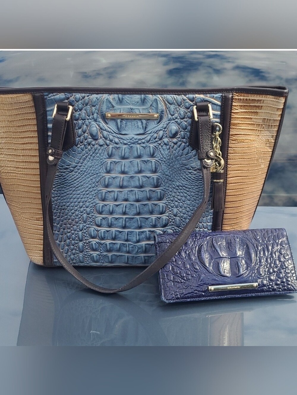 FLASH SALE TO 9P ONLY! Brahmin SATELLITE PALMA Asher W/ Navy Ady Wallet Set